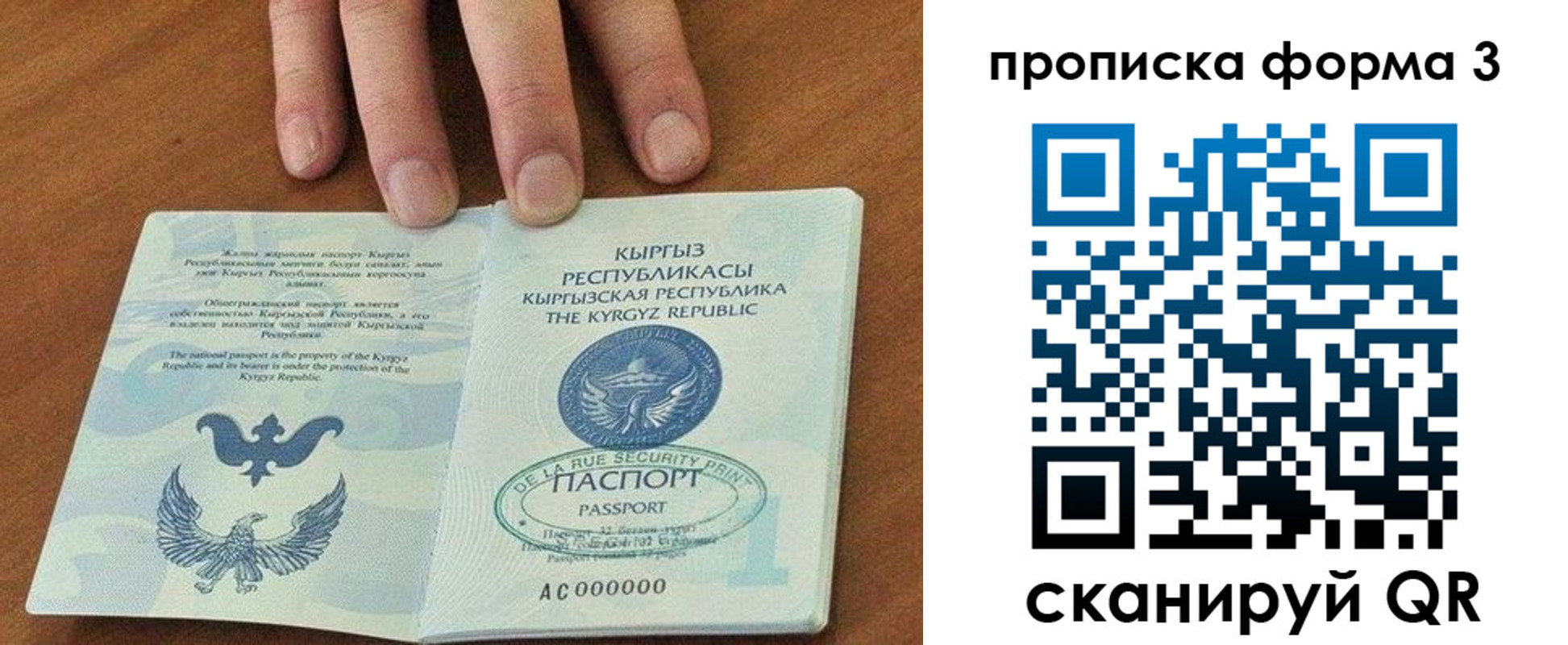 прописка 2025 в Амурске